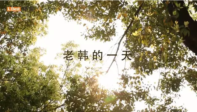 老韓的一天
