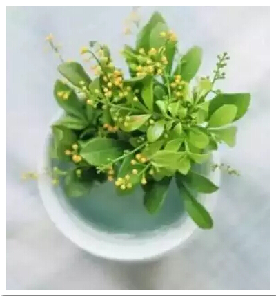米蘭