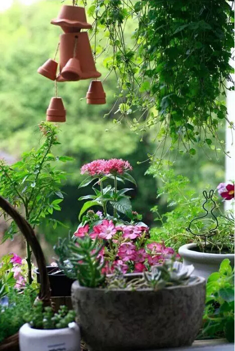花架陽臺